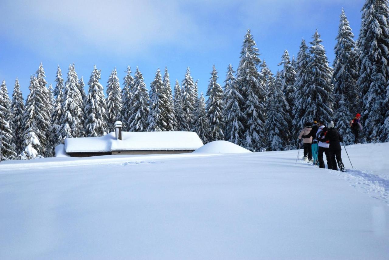 Chalet Le Petit Jura Βίλα Morbier Εξωτερικό φωτογραφία