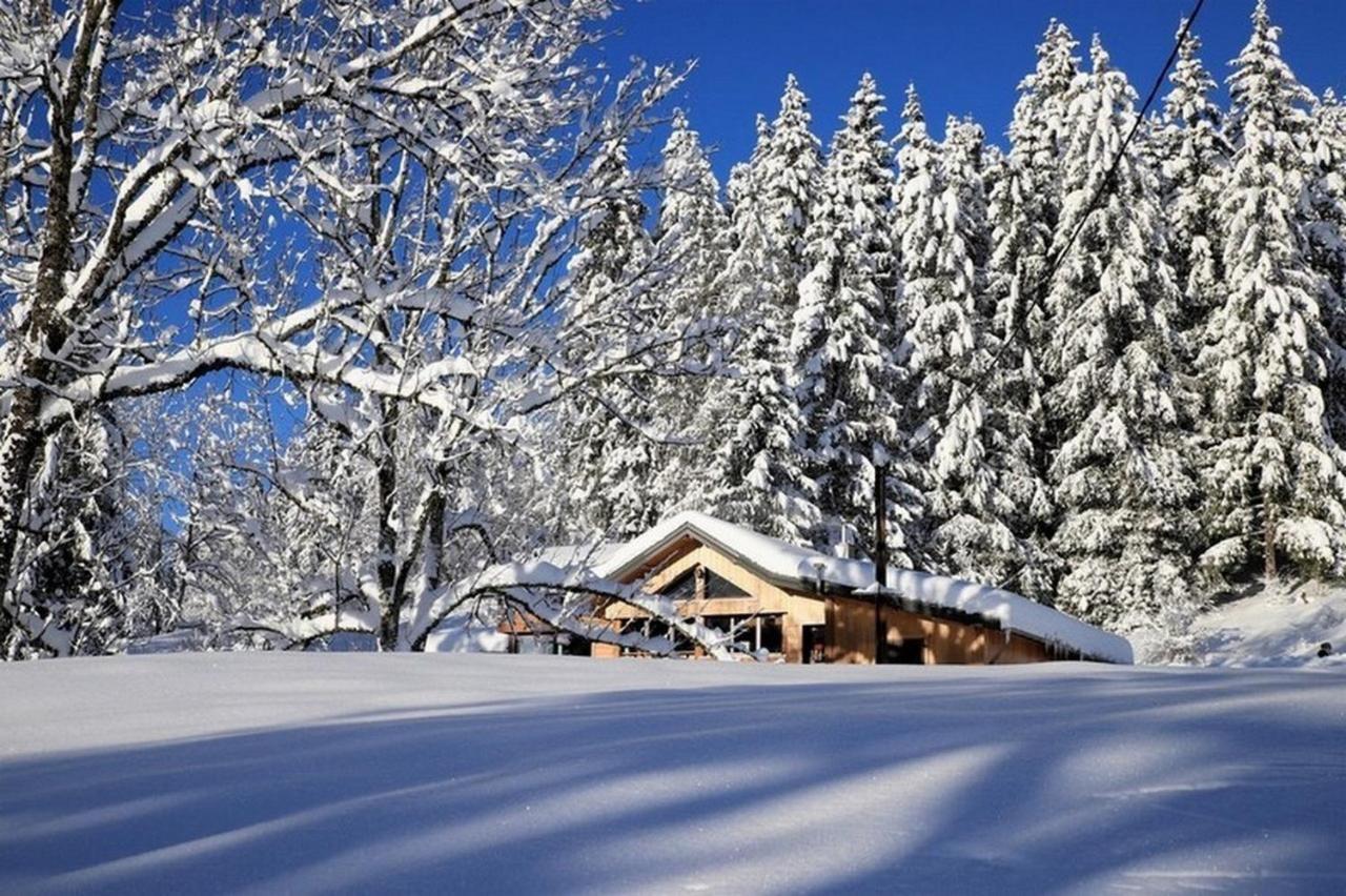 Chalet Le Petit Jura Βίλα Morbier Εξωτερικό φωτογραφία